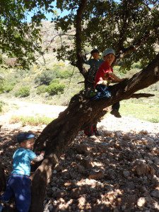 Tree Climing in Nachal Hilazon