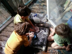 Kids Pesach Cleaning