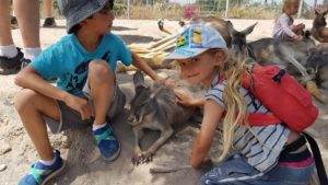 Raviv at the Gan Garoo Australian Zoo